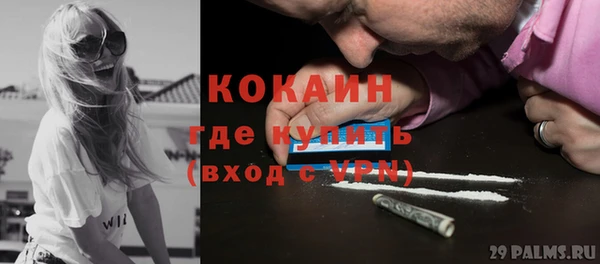 PSILOCYBIN Белокуриха