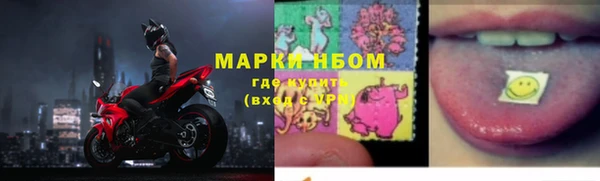 PSILOCYBIN Белокуриха