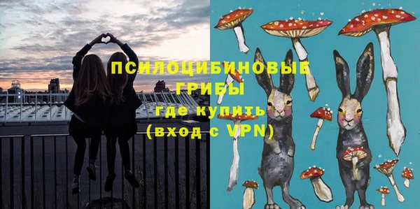 PSILOCYBIN Белокуриха