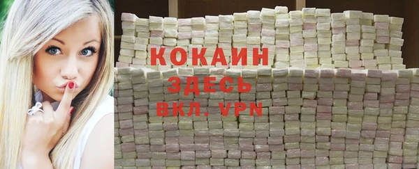 PSILOCYBIN Белокуриха