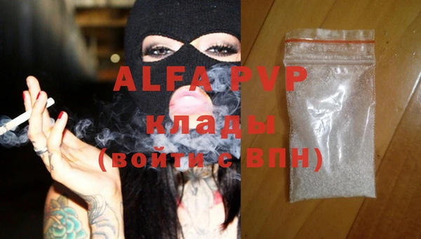 PSILOCYBIN Белокуриха