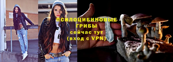 PSILOCYBIN Белокуриха